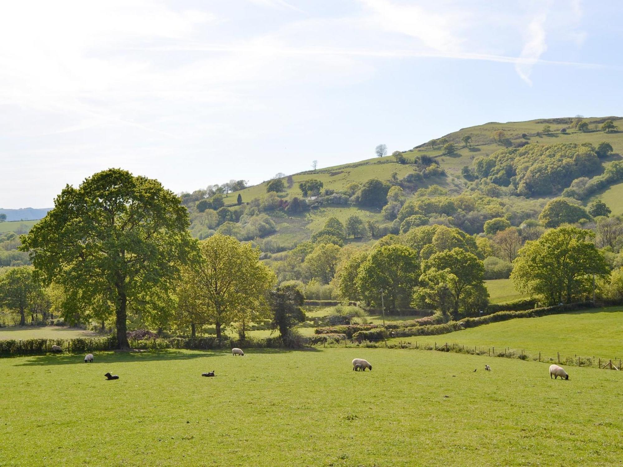 Maes Y Bryn Farmhouse Llanwrda Zewnętrze zdjęcie